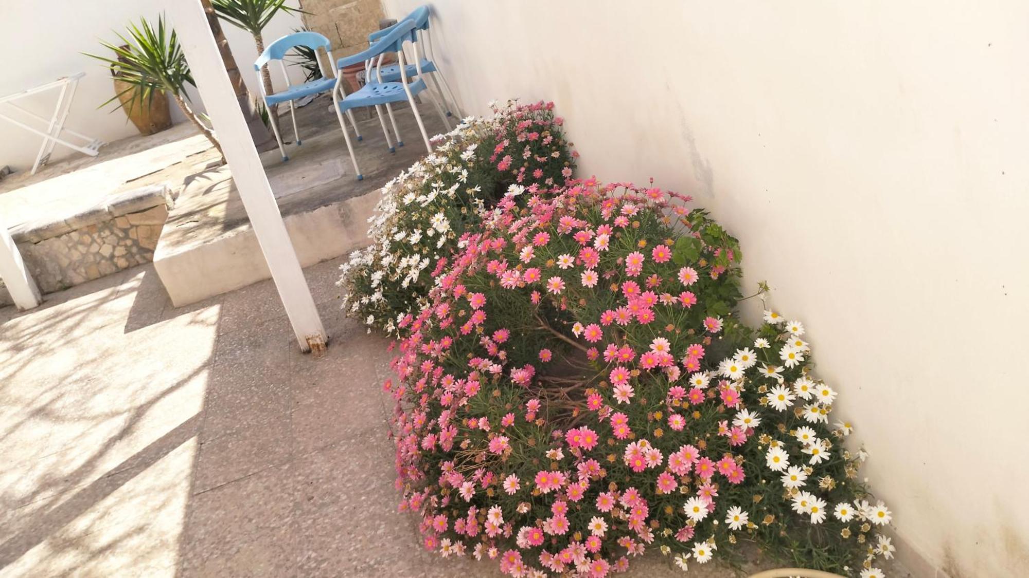 Villa Casa Antonio E Nicoletta Porto Cesareo Exterior foto
